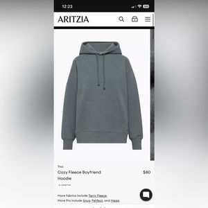aritzia hoodie